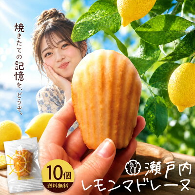大浜スイーツアカデミー 楽天市場店の商品画像