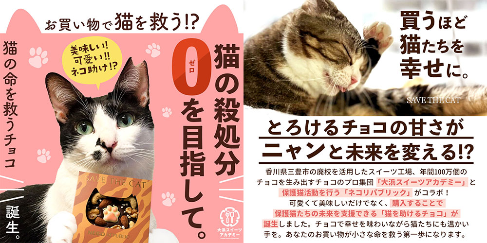 PB&OEM商品事例